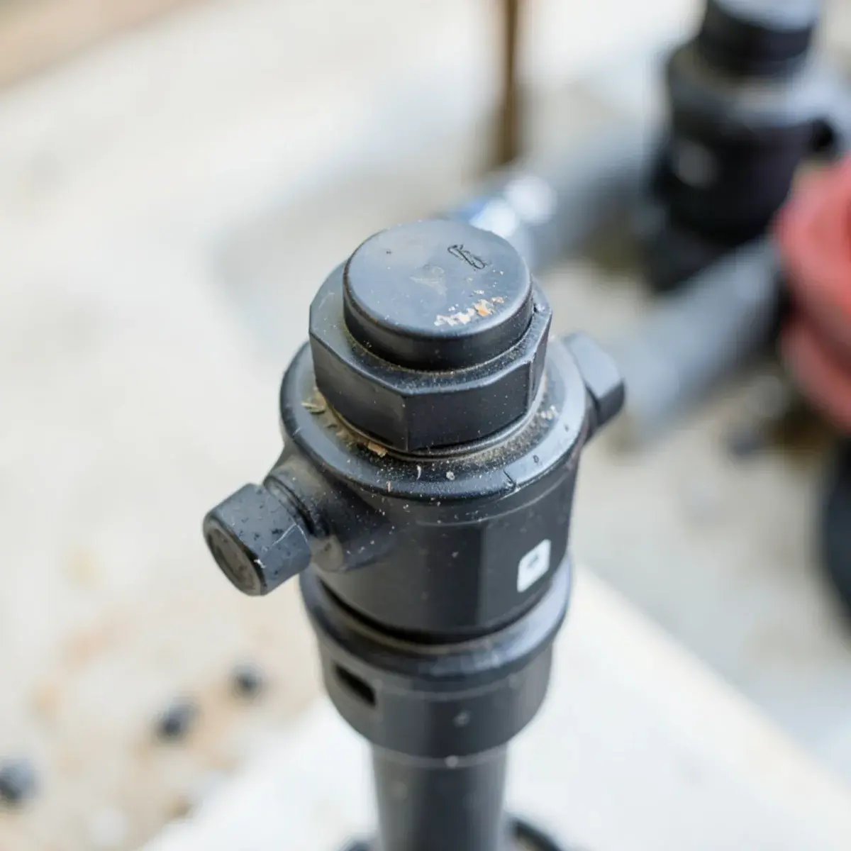 Sump pump discharge pipe and check valve